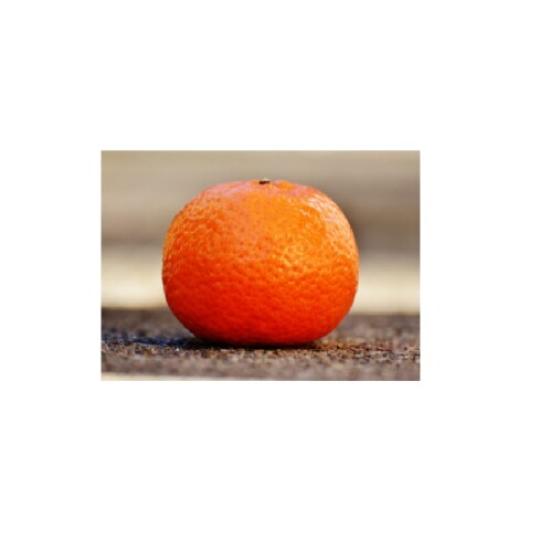 Mandarinky větší 0l
