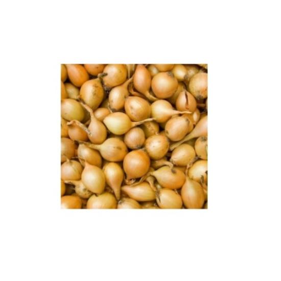 Cibule jarní cca 140 g 0l