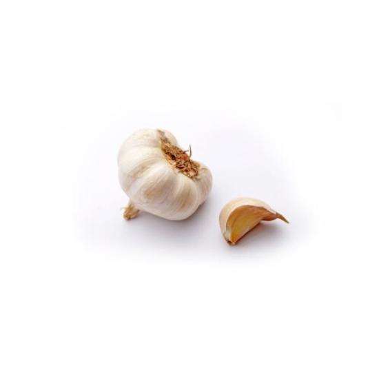 BIO česnek