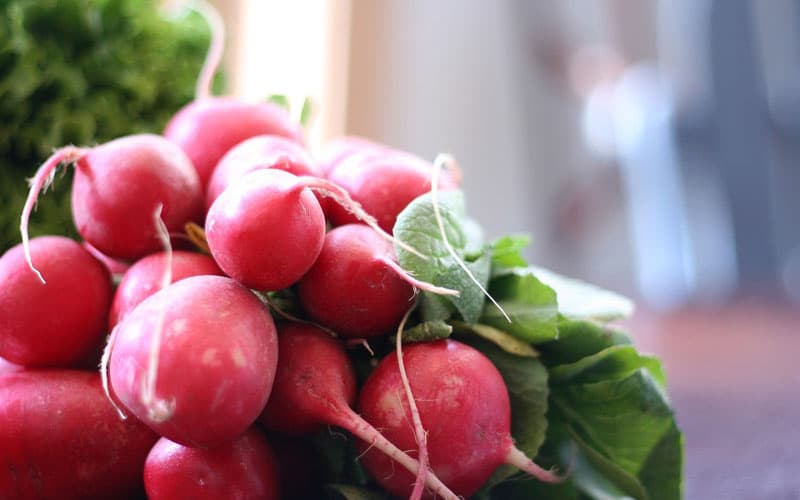 Recept Okurkové smoothie s ředkvičkami a jogurtem - nejsmoothie.cz
