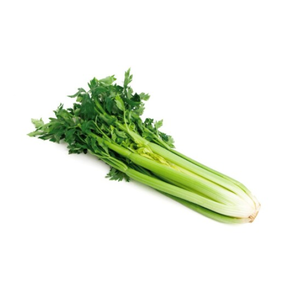 BIO Celer řapíkatý svazek 1ks