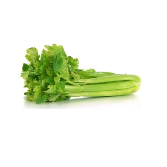 Celer řapíkatý s natí 0l
