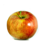 Jablka BIO z ČR 0.5kg